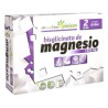 BISGLICITINATO DE MAGNESIO 60 CAP PINISAN