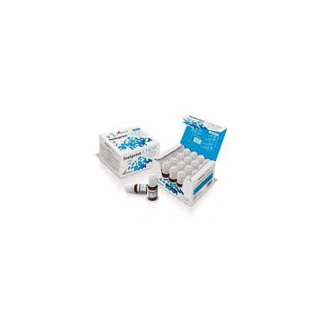 FOST PRINT JUNIOR SORIA NATURAL