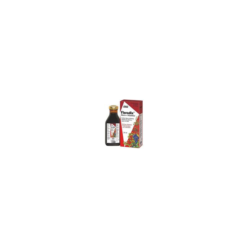 FLORADIX 250 ML SALUS