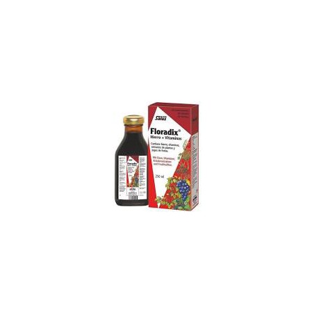 FLORADIX 250 ML SALUS