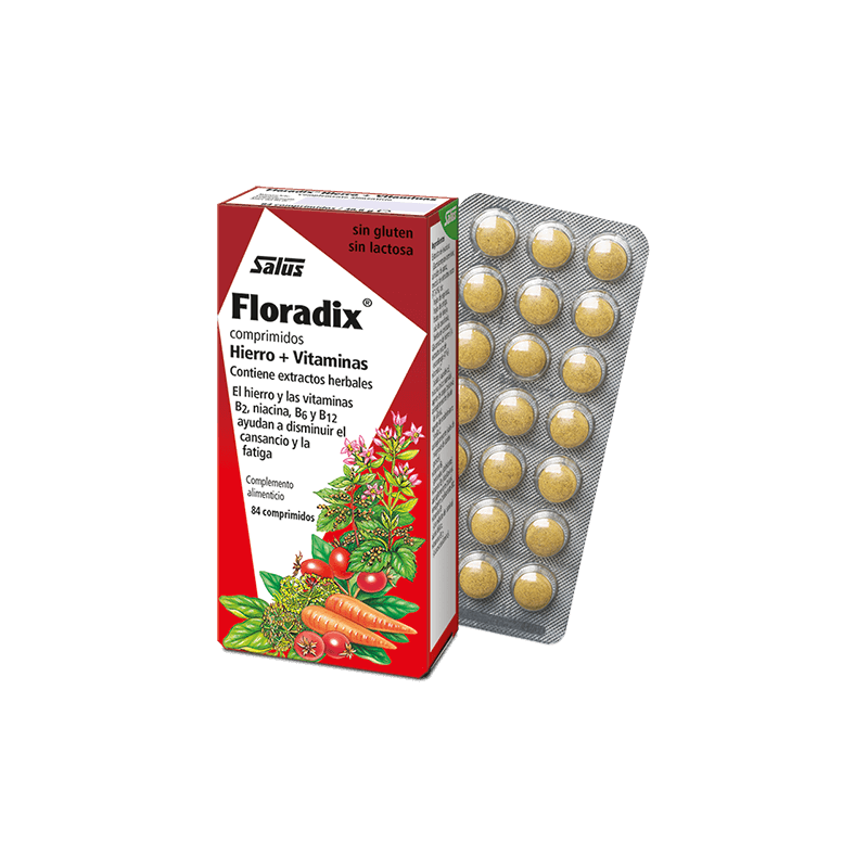 FLORADIX 84 COMPRIMIDOS SALUS