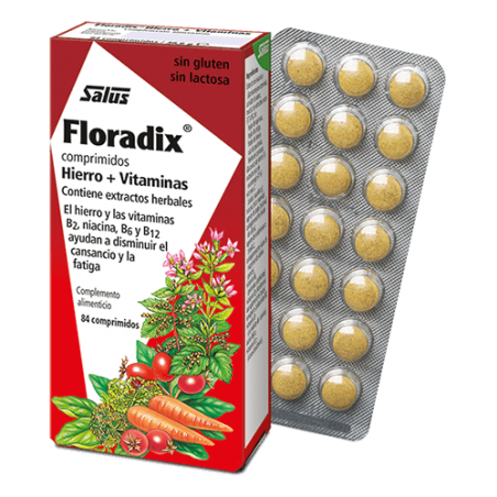 FLORADIX 84 COMPRIMIDOS SALUS