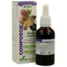 Composor 20 Dologén Soria Natural (50 ml) | Articulaciones