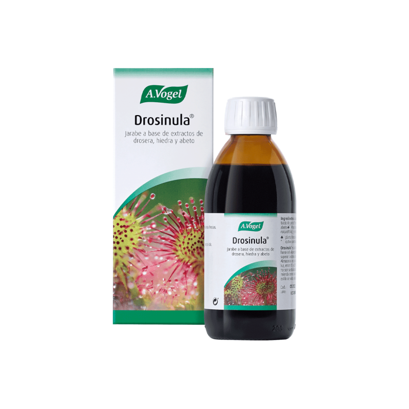 Drosinula jarabe Vogel