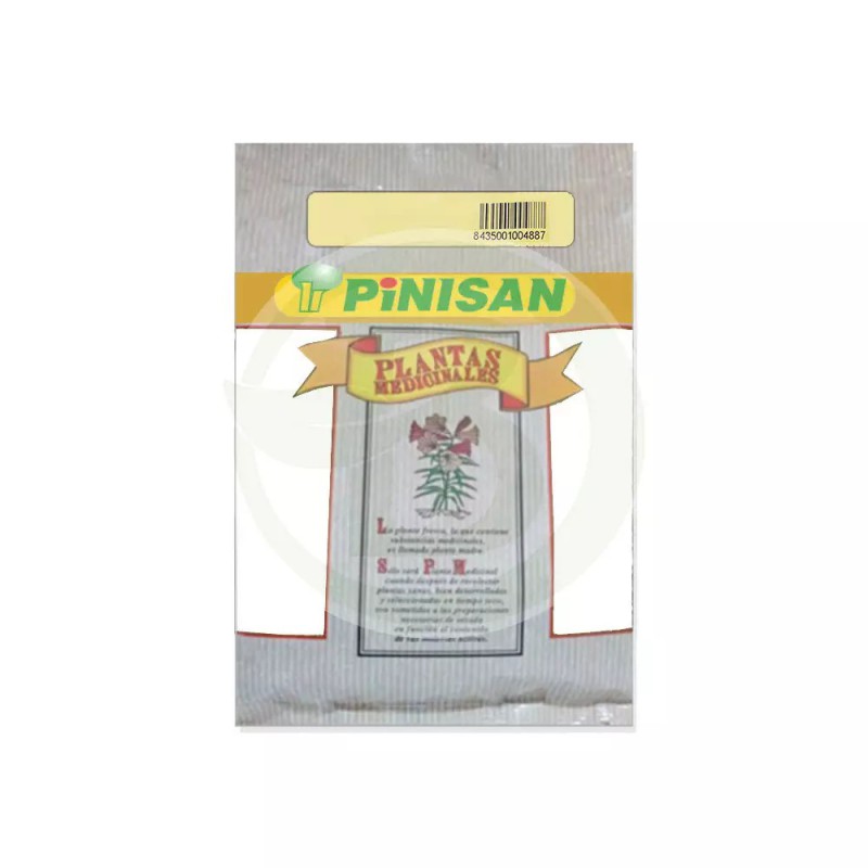 Alholvas Pinisan