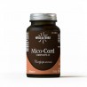 mico-cord-hifas-da-terra-extracto-puro-cordyceps-capsulas