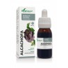 Extracto de alcachofa Soria Natural
