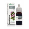 Extracto de Bardana Soria Natural