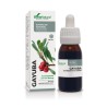 Frasco de Extracto de Gayuba XXI de Soria Natural de 50ml indicado para tratar la cistitis y proteger las vías urinarias.