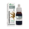 Extracto de Harpagofito Soria Natural Formula XXI frasco cuentagotas de 50 ml para dolor articular y muscular