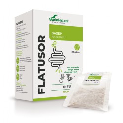 Caja de Natusor 22 Flatusor Soria Natural en 20 filtros para infusión carminativa, gases e hinchazón estomacal