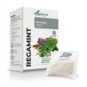 Caja de Regamint Soria Natural en 20 filtros para infusión digestiva, gases y acidez de estómago