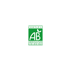 Café selección arábica en grano ecológico Destination