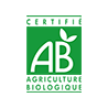 Café selección arábica en grano ecológico Destination