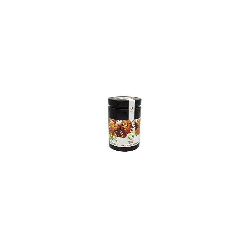 Miel bio Bosques del Torío 800g - Producción ecológica en León