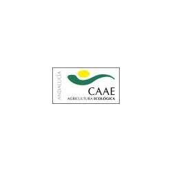 Logo CAAE