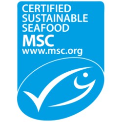 Logo MSC pesca sostenible