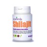 Bote de Shilajit Ayurveda de 60 cápsulas vegetales para energía y vitalidad en Ecotiendaverde