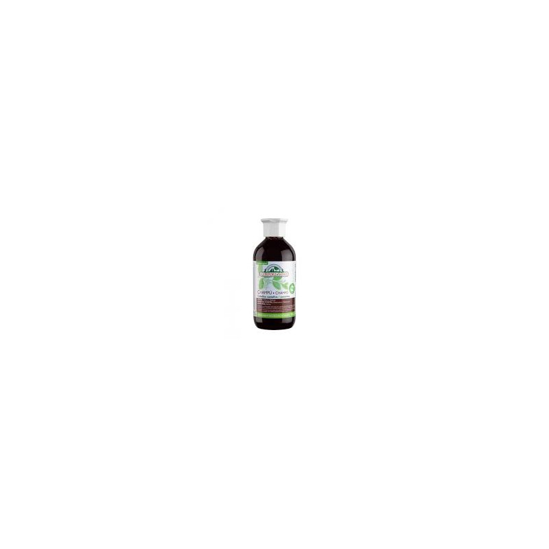 Champú para cabellos castaños, henna, keratina y aloe vera Corpore Sano