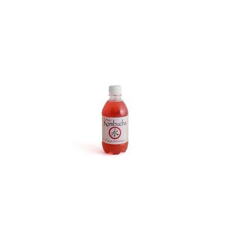 KOMBUCHA ECOLÓGICA FRUTAS DEL BOSQUE0.33L KOMBUCHERÍA
