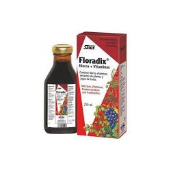 FLORADIX 250 ML SALUS