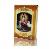 HENNA RUBIO DORADO 100 GR RADHE SHYAM