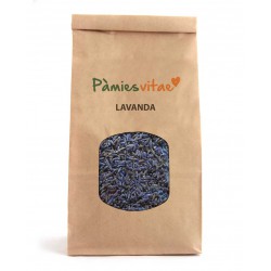 Lavanda Pamies Vitae